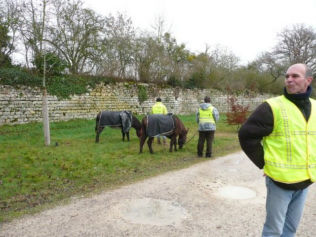 Loire propre 2014 (6).jpg